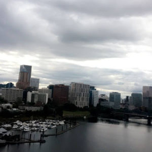 Meet your Posher, Pedro